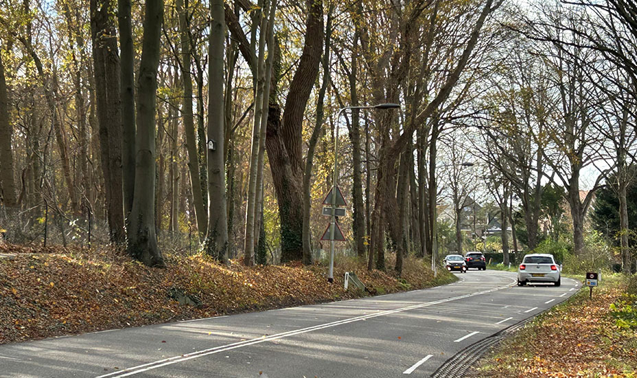 Vogelenzangseweg (N206)